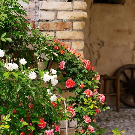 Maraldo 1927 4* Orgnese